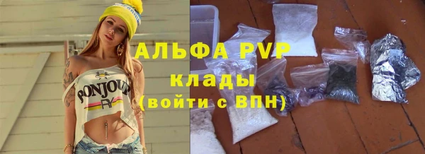хмурый Абаза