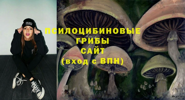 хмурый Абинск