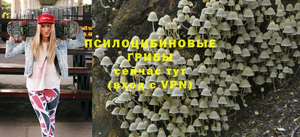 хмурый Абаза