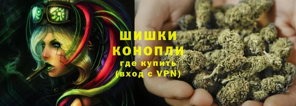 хмурый Абаза