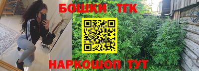 гидропоника Камышлов