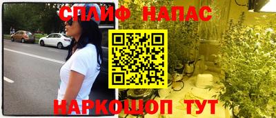 гидропоника Камышлов