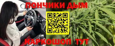 гидропоника Камышлов