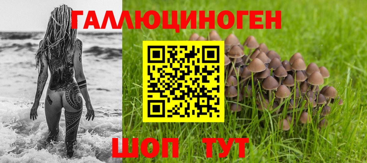 Галлюциногенные грибы мухоморы Урус-Мартан